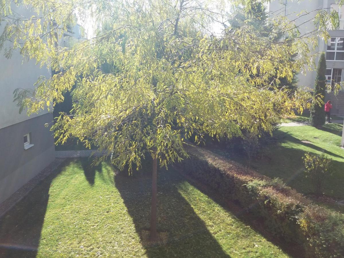 Avantgarden1 .Apartament Lux Braşov Esterno foto